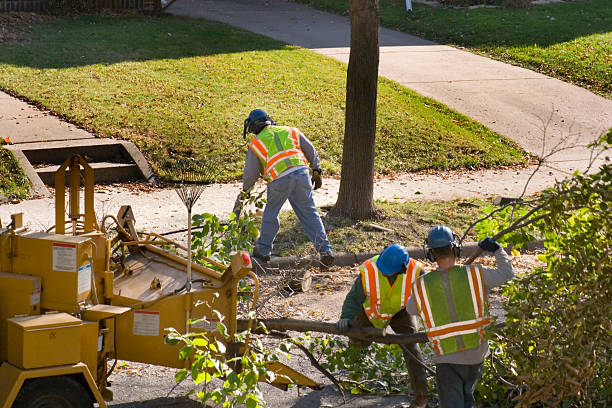 Lawn Irrigation Installation and Maintenance